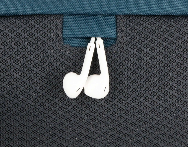 Miniatura Banano Miscanti -