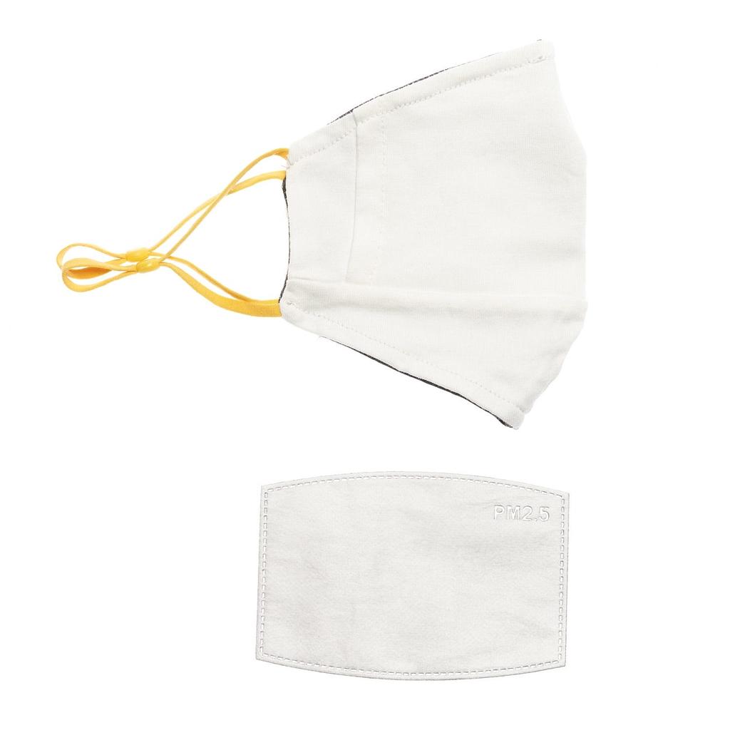 Mascarilla Boreal I21