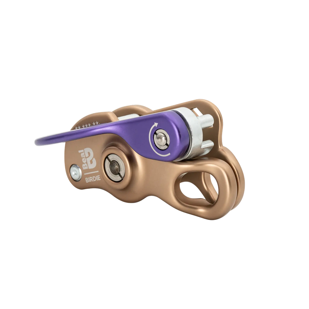 Asegurador Asistido Birdie -