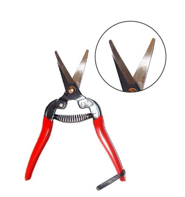 Tijera Raleo Pta Roma 71/2" 501