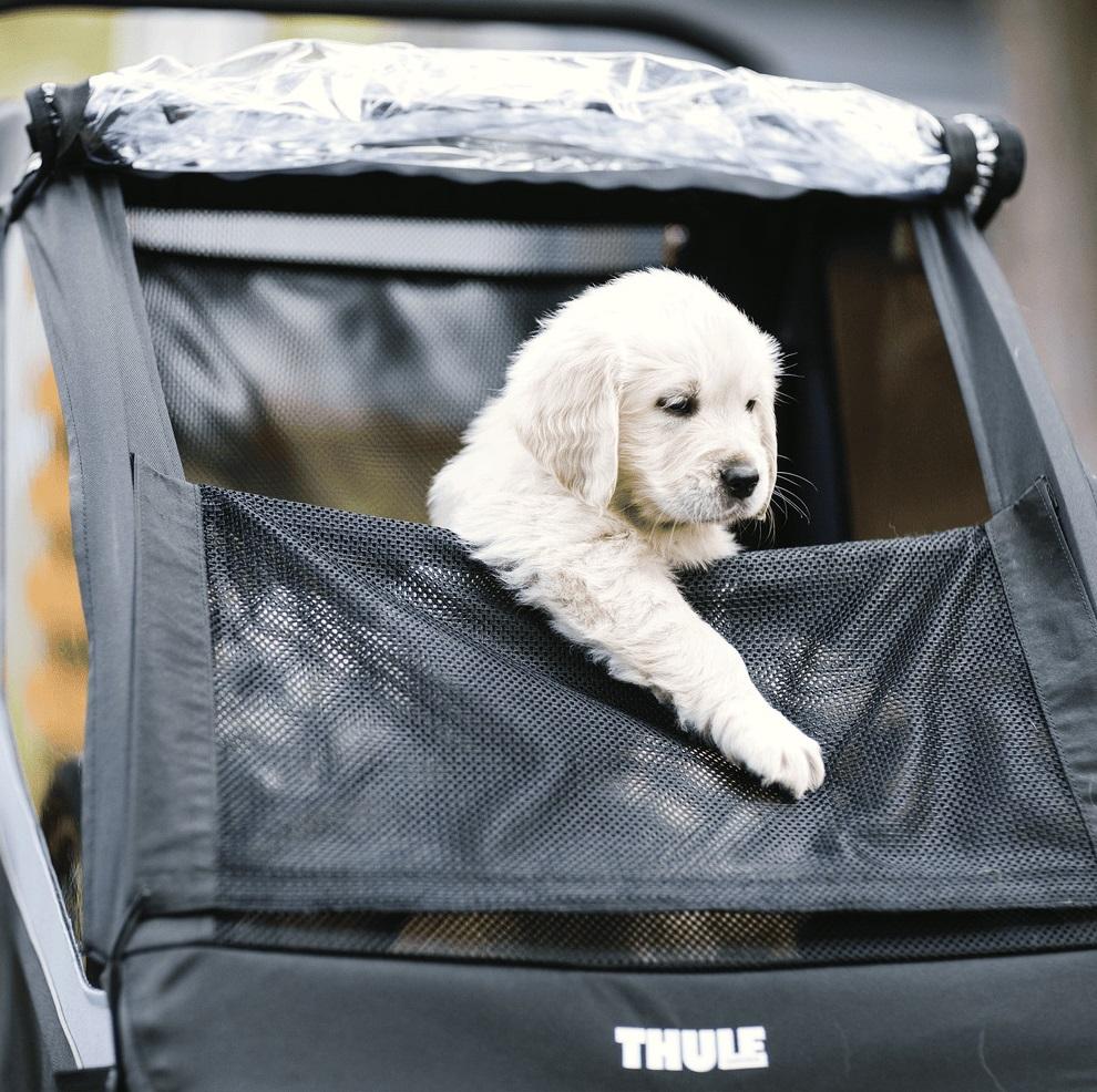 Kit Remolque Courier Perro -