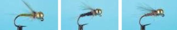 Kit Moscas Dragon Tungsten Jigs Nymphs  -