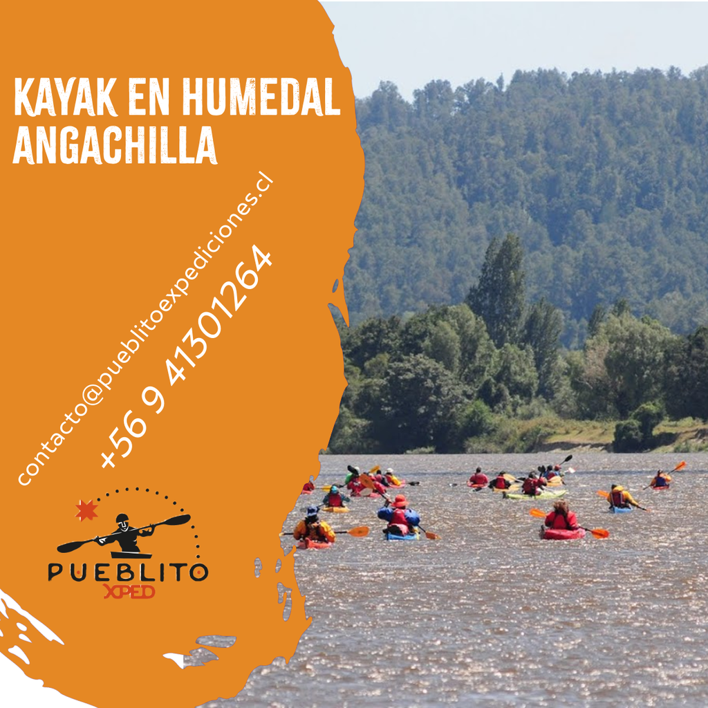 Travesía en kayak Humedal Angachilla o Río Cruces